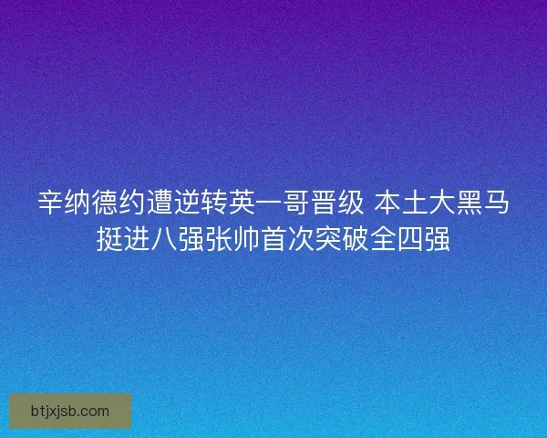 辛纳德约遭逆转英一哥晋级 本土大黑马挺进八强张帅首次突破全四强